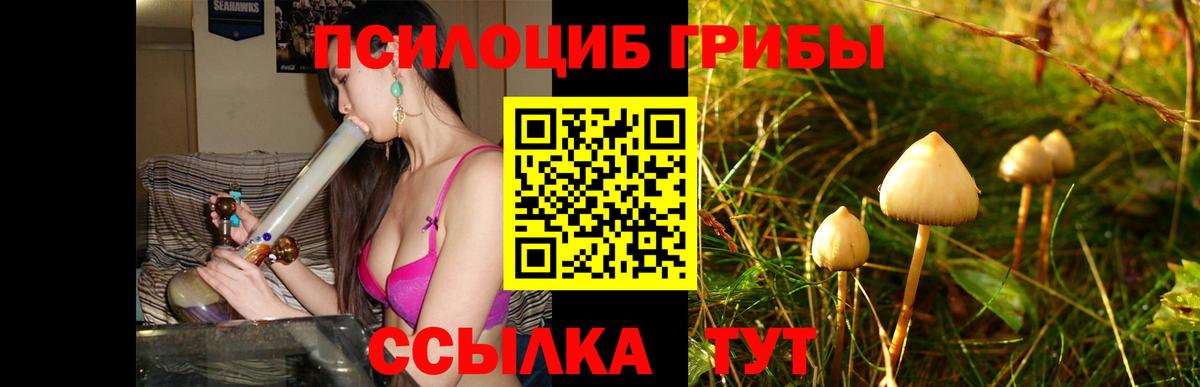 Псилоцибиновые грибы MAGIC MUSHROOMS  Вход с VPN  Майский 